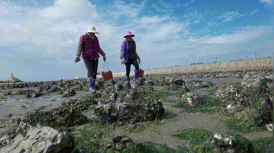 fb8f6c4f31315ee70874ba0aaf7152cd.gif