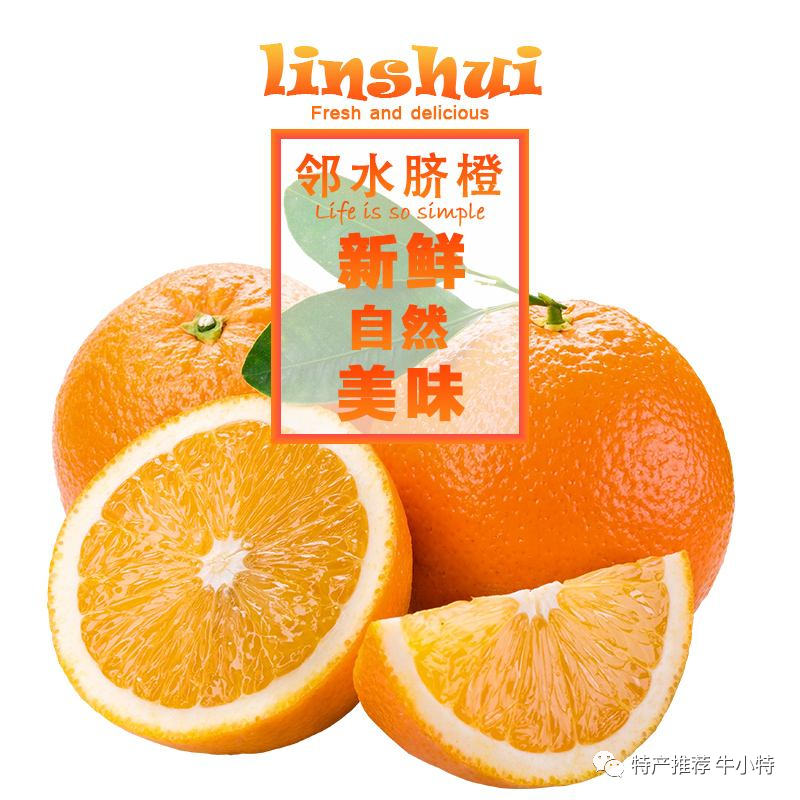 814fe05c5e5868201038b7059d1b05a8.png