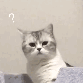 0c25f1ba7d673211c72b7b7d66d1542f.gif