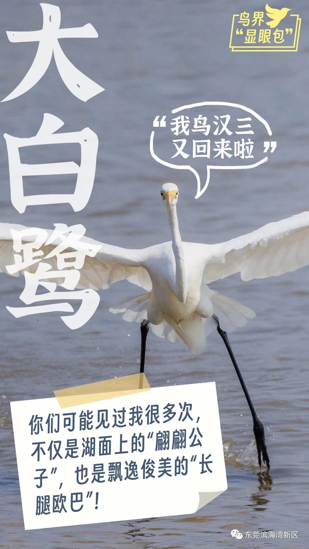 46ef30490ab238a784f2f8e423064f43.jpeg