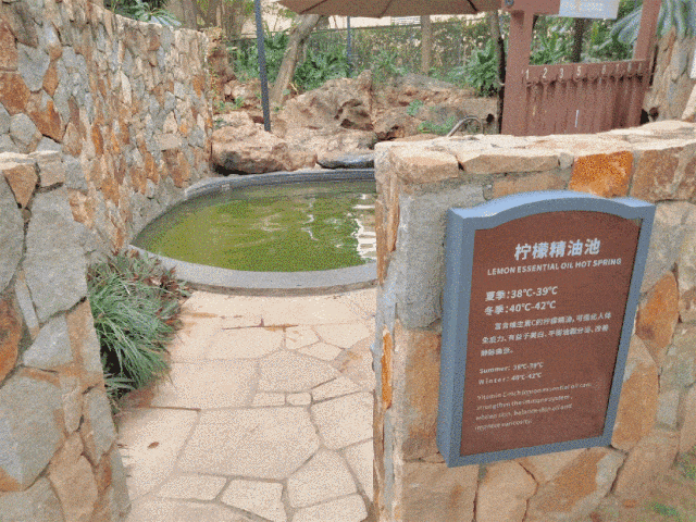 73a001602929436a0d9ada28b9ce1d36.gif