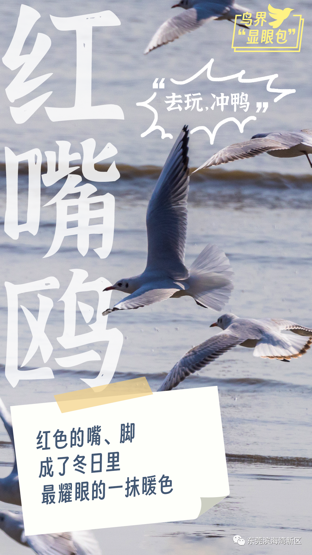 80be24513f4df27eac111700a353a54d.png