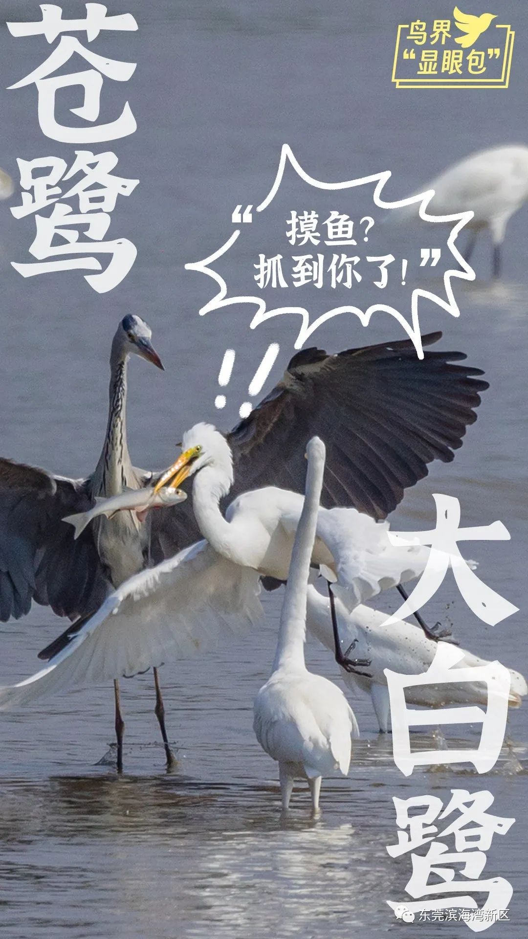 a9ec7d90400e04d9fe4e22458dd9ab51.jpeg