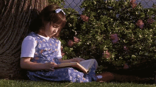 b0bbe6e3d5a78ebeed9672fedae28db8.gif