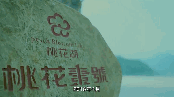 b3e2091cfda224d6283a4e1b0f0ae43d.gif