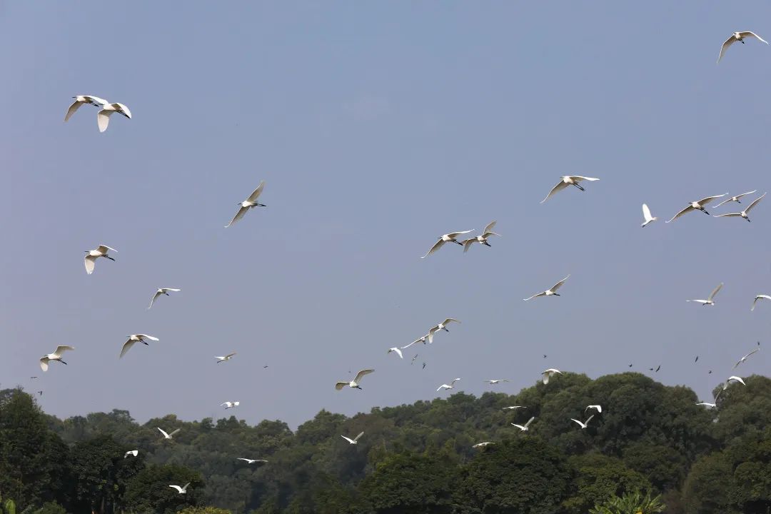 fd8433f1281f0a60b3f1755b84c08724.jpeg