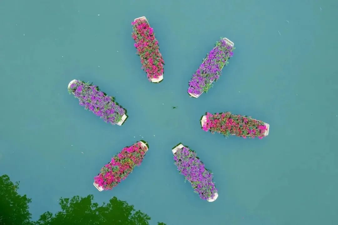 8724b3f4c01de3f380b4c6b13ae6ad3c.jpeg