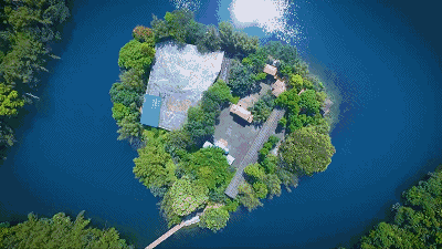 9055a6a36ccad9da0f75a93f37503f03.gif