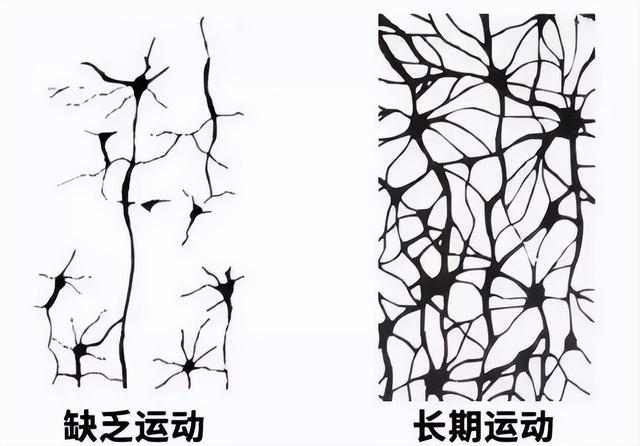 9b205f5d6ca5616ca3dd4e65d7958a8c.png