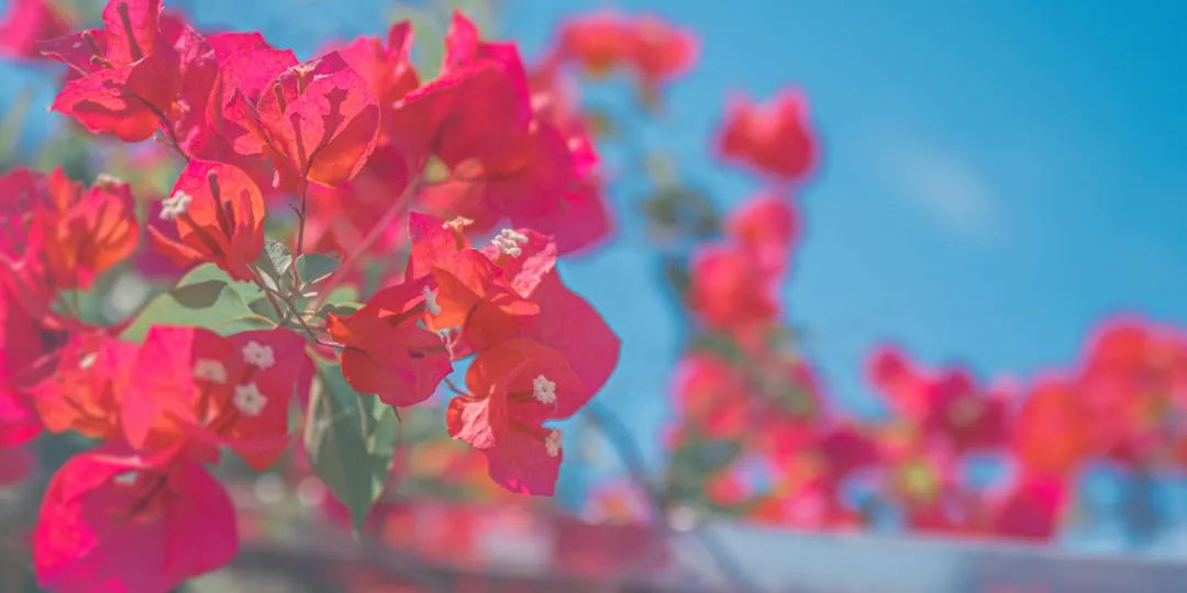 b0337cab72ab9a23197bb634d6cc43c3.jpeg