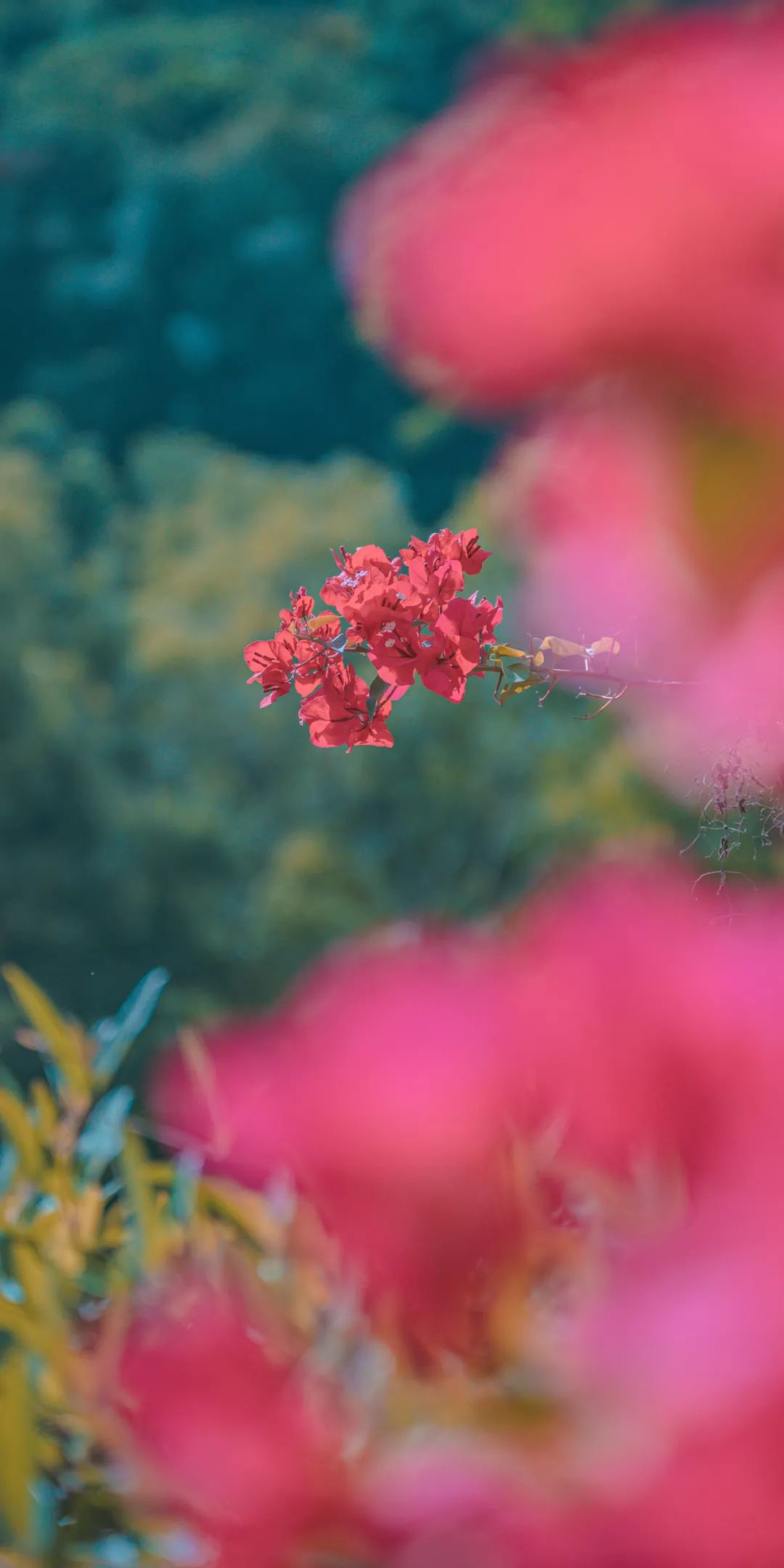 dc66d3f12f0e3311670dffea343e5f90.jpeg