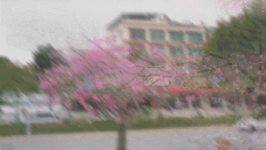 fd511be39c72ca602867b099f053d5aa.gif