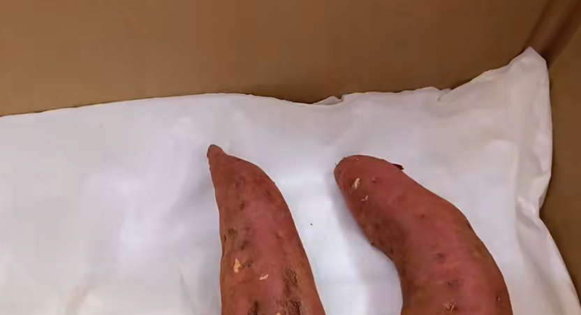 e110925f6ff80462818fe0e02edb4f55.png