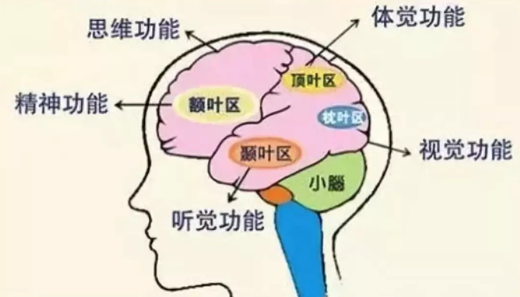 f76087e033e7eb06698fd7415847170a.png