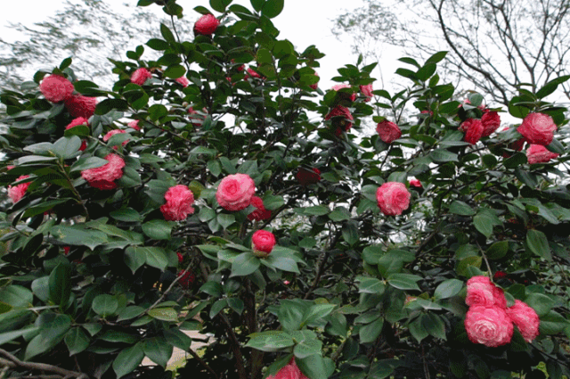 30889341f9d4053eba4ed7d3c24c9931.gif