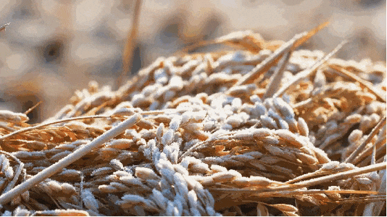 1b0796cfc1ef9229adb40c220902ec30.gif