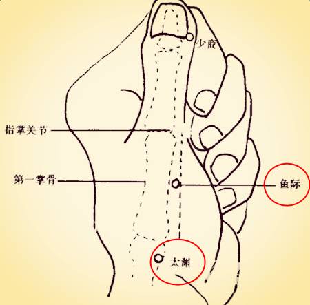 a13aaefd1459ca3ca4ac93432e2fd35d.jpeg