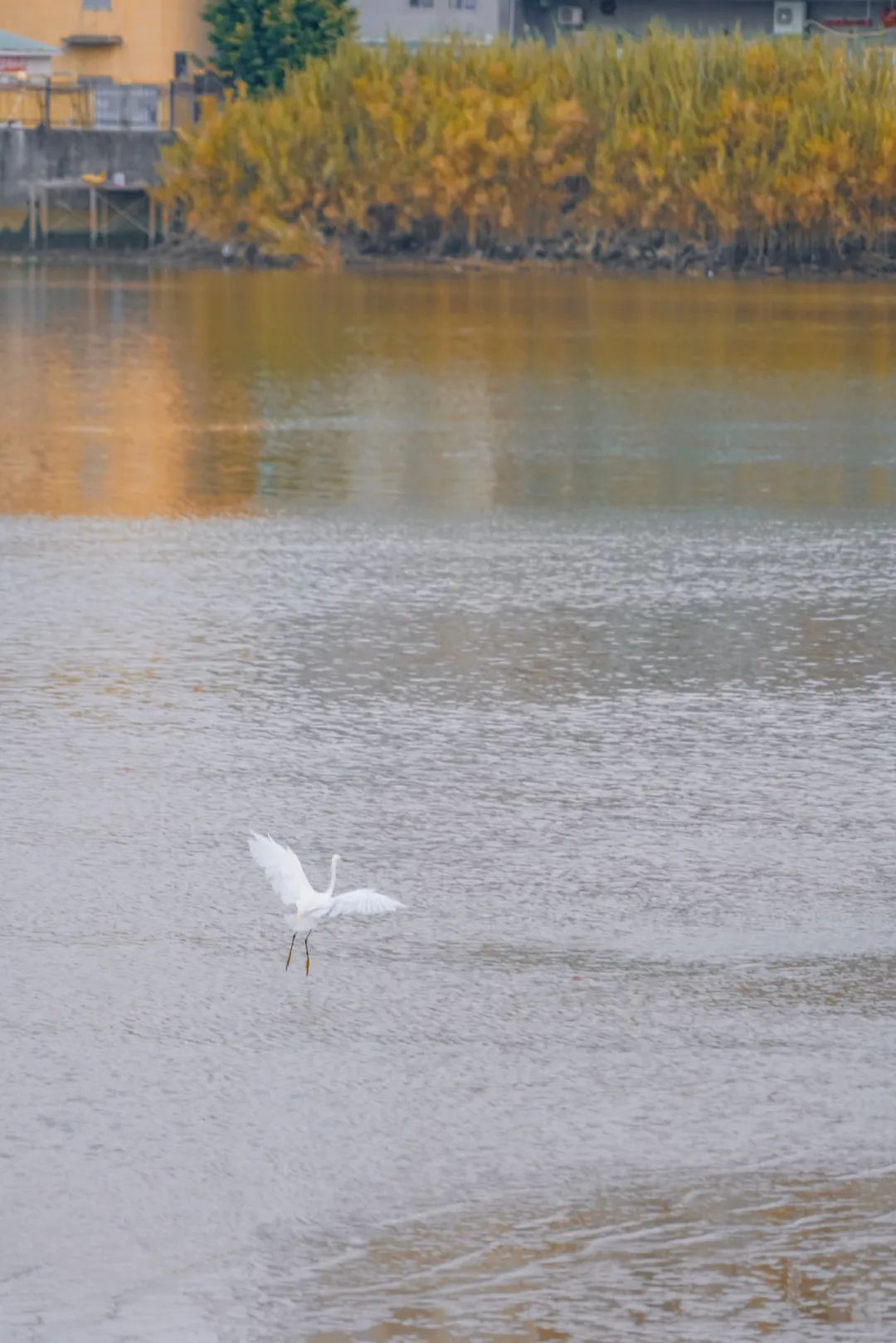 5c10a7f95188b37308ac60678b08a432.jpeg