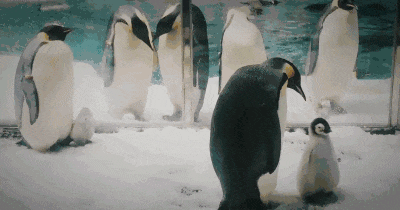 5fd4975bde117a344a25a5f8ba0b8f14.gif