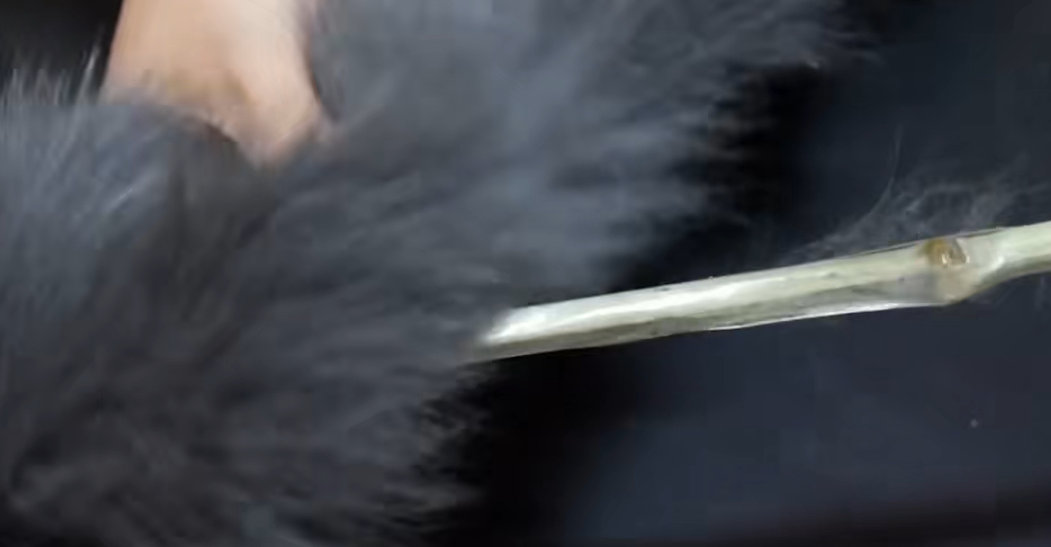 a722edd2ed7626f41d61cad95cfb0c59.png