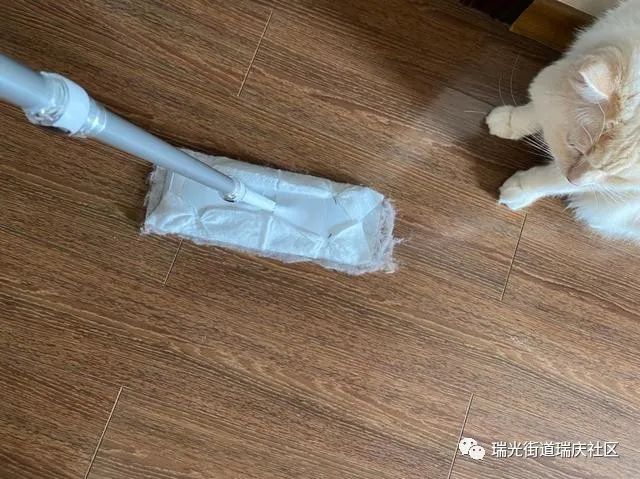 45c3feeedba3bce2527f27165281a7ae.jpeg