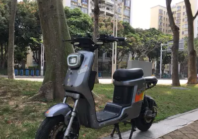 QQ截图20240412161840.png