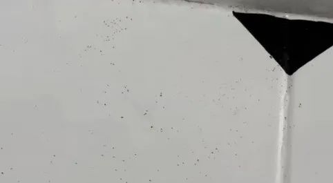 e1ab40e0505ec482d19b1903a1e20e0e.jpeg