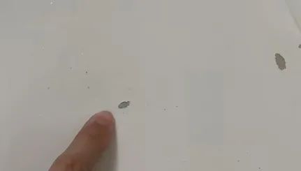 f8322844f8055234d9661ee56ac05ae9.jpeg