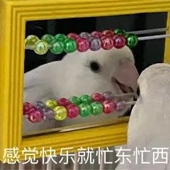 475165bd60f7f622efbf5b63ad195c07.jpg