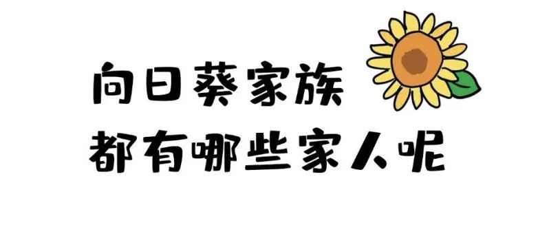 2c3be883e62bc4e61bf110c7d11570fb.jpeg