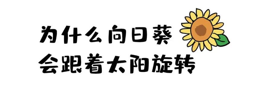 69a2129d9e4c7c40a3a557f4ef1e3b4f.jpeg