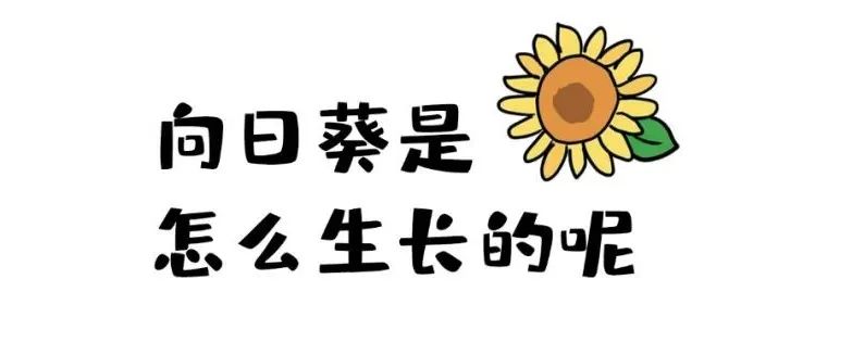 7d3c88774d6d3a93db2aae0739751367.jpeg