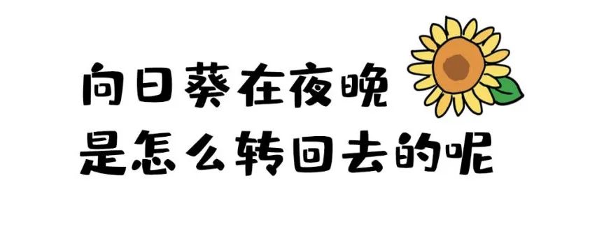 aa1cd0a9fac943b788c6bd71ac398eba.jpeg