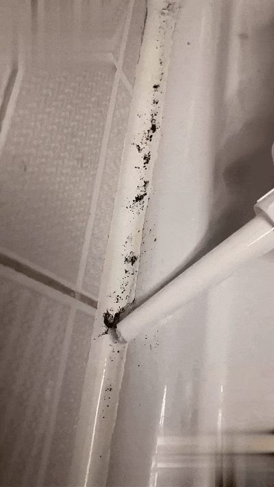 e576c33f3775d917a99800a95c2d30da.gif
