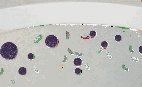 ebda71bc4a5311d8013ce7820ad918f8.gif