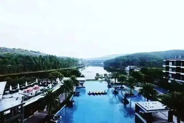 2c5691d9e895c42a91ab51cbc31ec990.jpeg