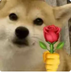 8631336d33a5ba88ebb7e921024c235a.png