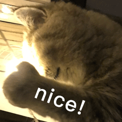 ee453eb67fb9f44f491ade28ea78d682.gif