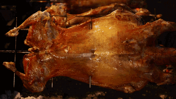 9cb5d3696243aff52a92712499ebe67f.gif