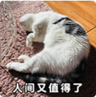 deda27813236ffaff45830ab23f04623.jpg