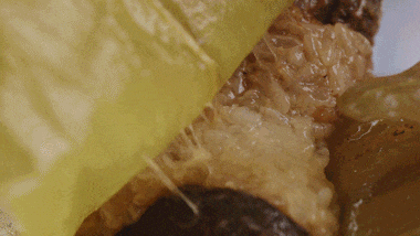 b5ae89b6bb90a37b96fea712f2f95c29.gif