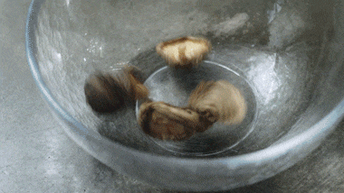 d43b6edc5ca40d26b670e5909cde2601.gif