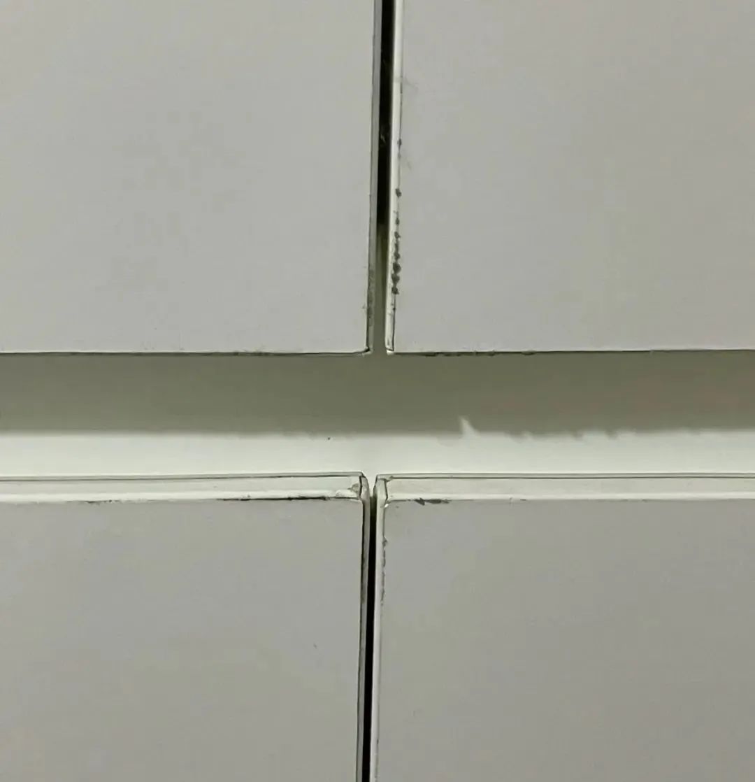 7eb887b55ac07aee730c0e02c9477ff4.jpeg