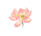 328f26f213032d14244a707e7914be7f.gif