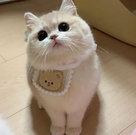 微信截图_20240813184616.png