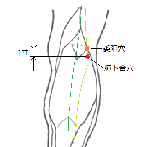 42ed359e686d035e0b4627a80c63c718.png