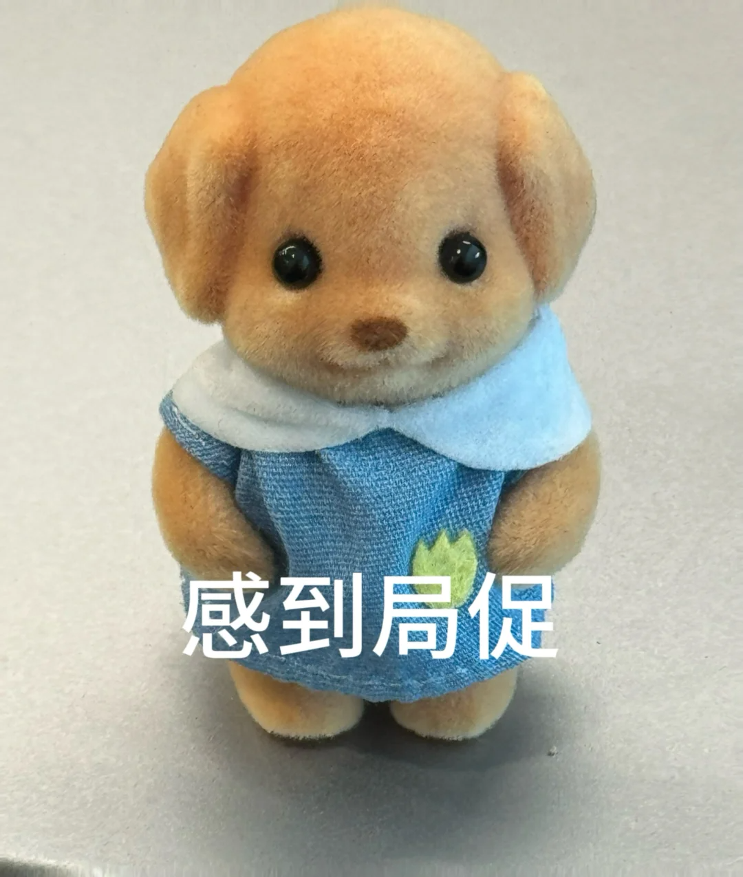 8974fb97fcb57901600510a25e4ac568.png