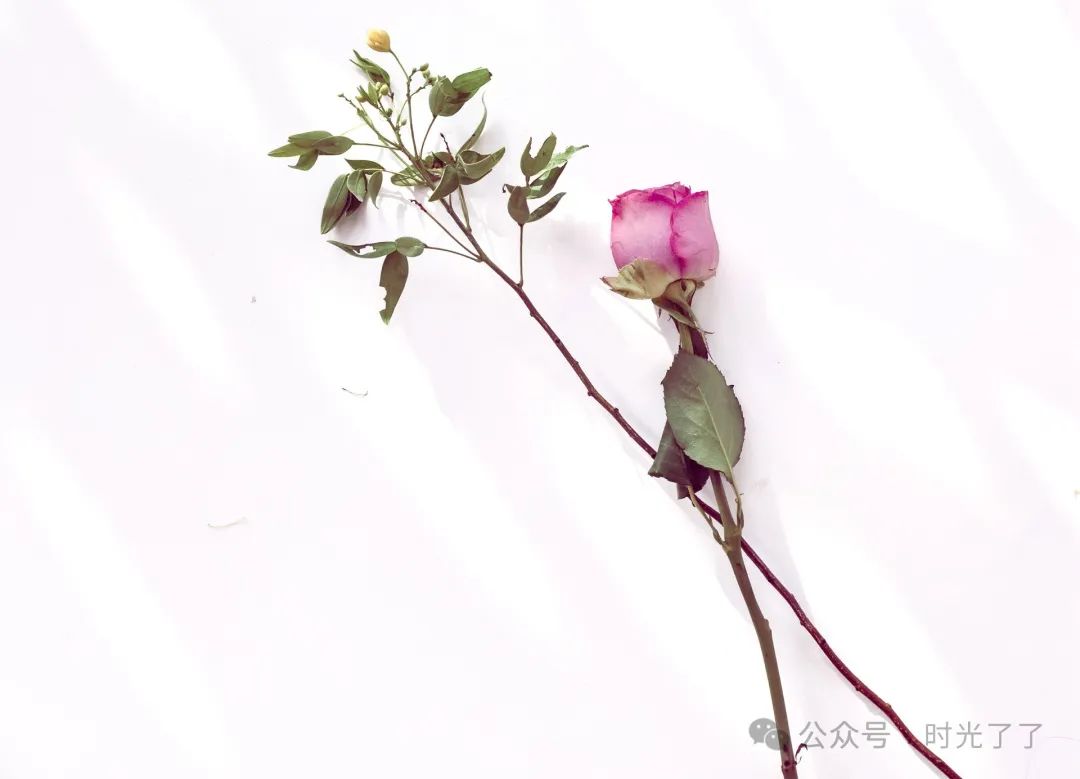 c206acb29608cef1e0518bafd32345f5.jpeg