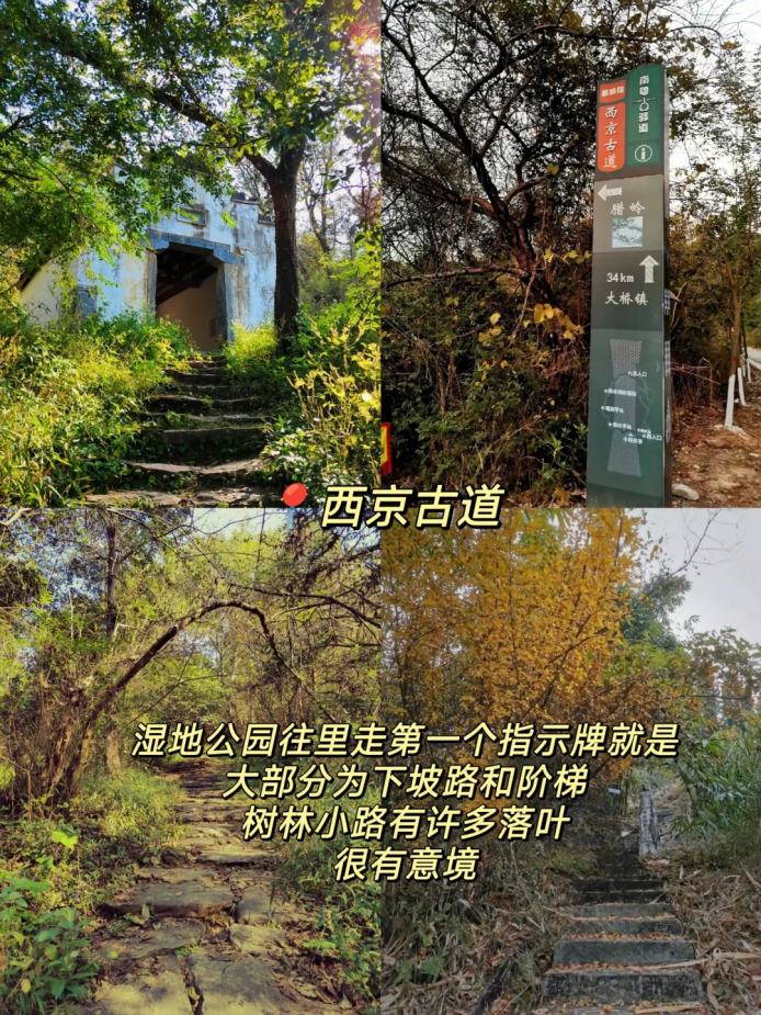 1b7ea4bacff6776ad36f99f0119d3655.png