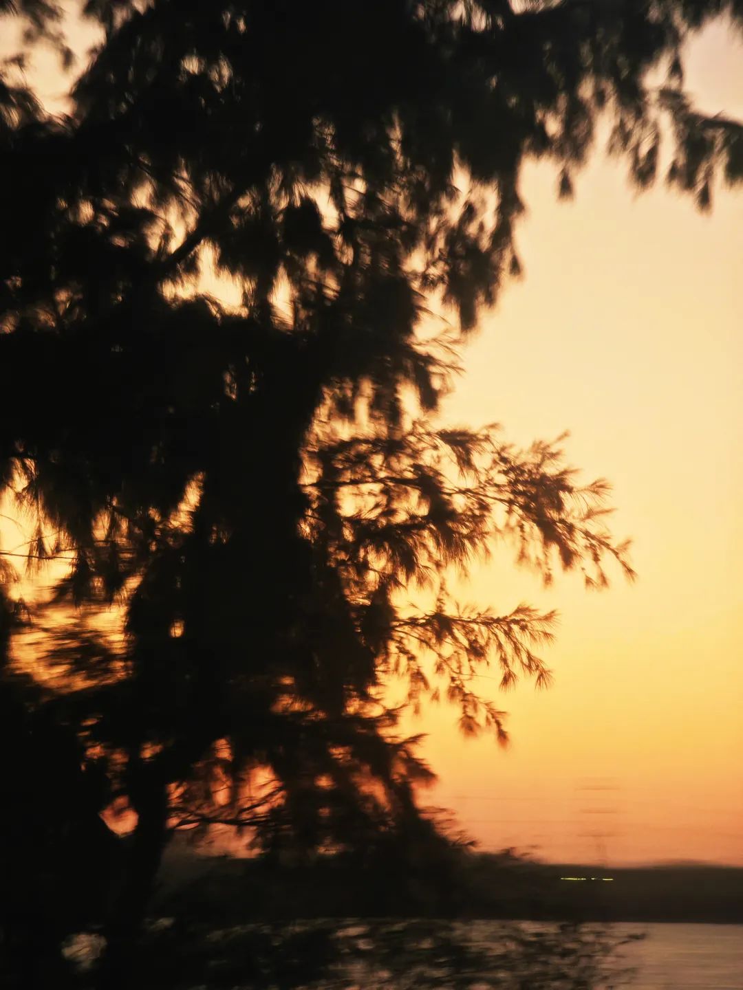 0577270b65ea7ed9e076f11be02dc6ab.jpeg